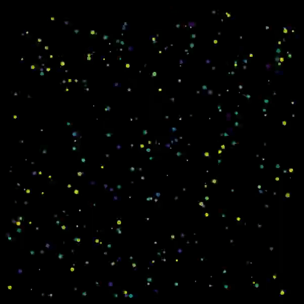 random animation of circles